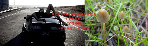 молекула духа Балахна