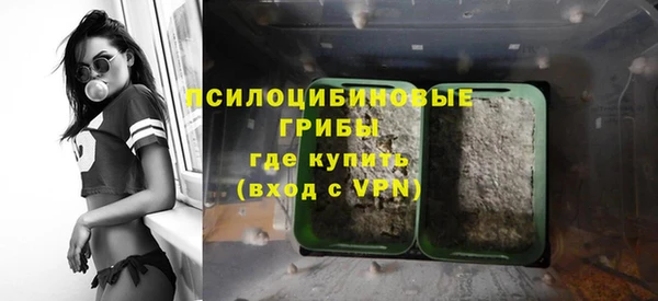 молекула духа Балахна