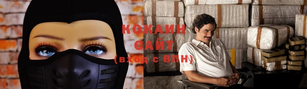 молекула духа Балахна