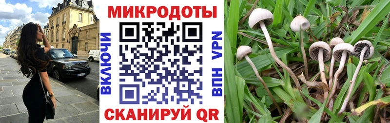 mega как зайти  Разумное  Галлюциногенные грибы Psilocybine cubensis 